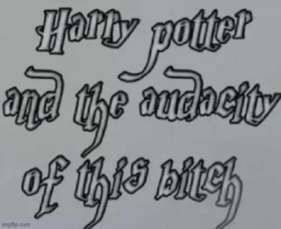 Harry Potter and the Audacity of this bitch | image tagged in harry potter and the audacity of this bitch | made w/ Imgflip meme maker