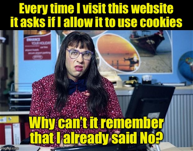 Those who understand cookies and how they work get it | Every time I visit this website it asks if I allow it to use cookies; Why can’t it remember that I already said No? | image tagged in computer says no,cookies | made w/ Imgflip meme maker