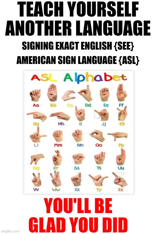 Knowledge Is Power | Teach yourself another language; Signing Exact English {SEE}; American Sign Language {ASL}; You'll be glad you did | image tagged in memes,sign language,teach yourself,no excuses,languages,you can do it | made w/ Imgflip meme maker
