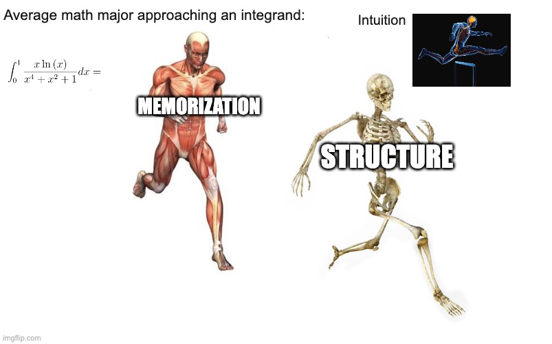Average math major | Average math major approaching an integrand:; Intuition; memorization; structure | image tagged in run skeleton | made w/ Imgflip meme maker