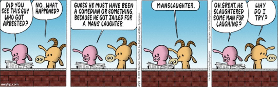 Pearls Before Swine | image tagged in comics | made w/ Imgflip meme maker
