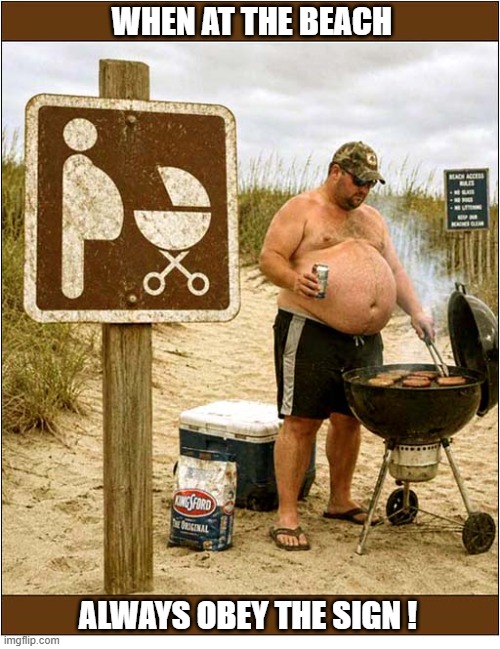 Another Great Day Out ! | When At The Beach; Always Obey The Sign ! | image tagged in signs,day at the beach,barbecue | made w/ Imgflip meme maker