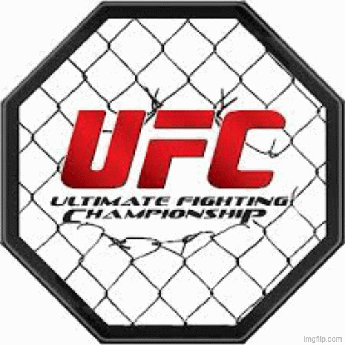 UFC | image tagged in gifs | made w/ Imgflip images-to-gif maker