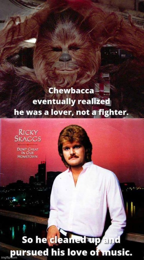 Chewie: Lover Not a Fighter | image tagged in chewbacca | made w/ Imgflip meme maker