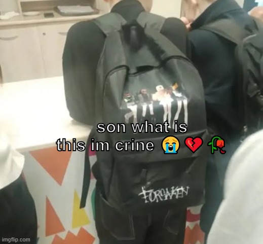 bro is more than a fan ✌? | son what is this im crine 😭💔🥀 | image tagged in memes | made w/ Imgflip meme maker