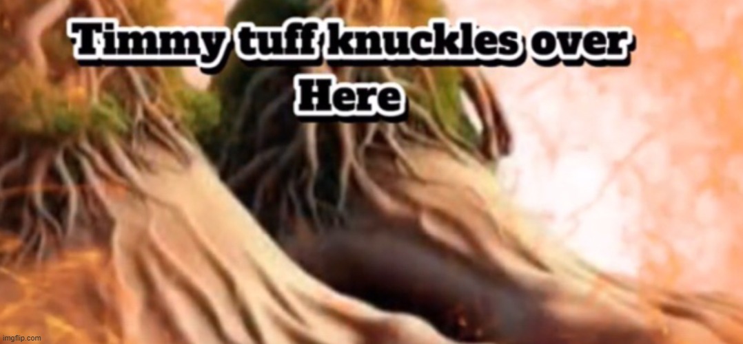 Timmy tuff knuckles over here | image tagged in timmy tuff knuckles over here | made w/ Imgflip meme maker