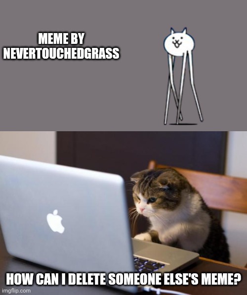 Cat using computer | Meme by NEVERTOUCHEDGRASS; How can I delete someone else's meme? | image tagged in cat using computer | made w/ Imgflip meme maker