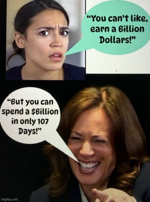 Democrat Dimwits | image tagged in rock bottom,embarrassing,dumb and dumber,dumb people,jokes,democrats | made w/ Imgflip meme maker