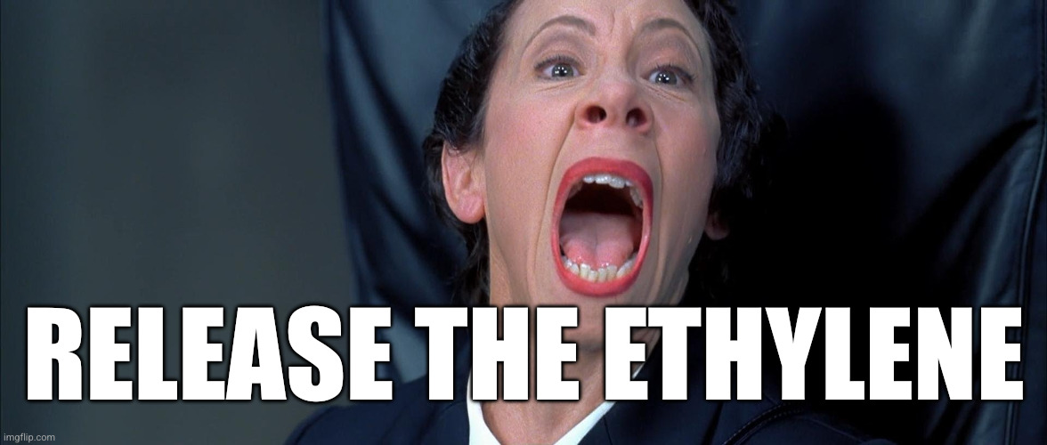 Frau Farbissina | Release the ethylene | image tagged in frau farbissina | made w/ Imgflip meme maker