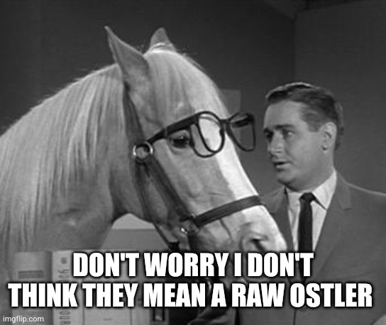 Stable Genius  | Don't worry I don't think they mean a raw ostler | image tagged in stable genius | made w/ Imgflip meme maker