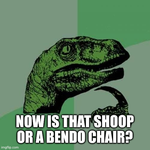 Philosoraptor Meme | Now is that Shoop
or a Bendo chair? | image tagged in memes,philosoraptor | made w/ Imgflip meme maker