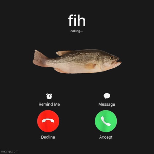 fih is calling | image tagged in fih is calling | made w/ Imgflip meme maker