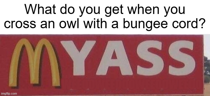 Kung Pow meme | What do you get when you cross an owl with a bungee cord? weeooweeoooweeooweeoo | image tagged in mcdonalds yass meme,kung pow enter the fist,master betty,kung pow | made w/ Imgflip meme maker