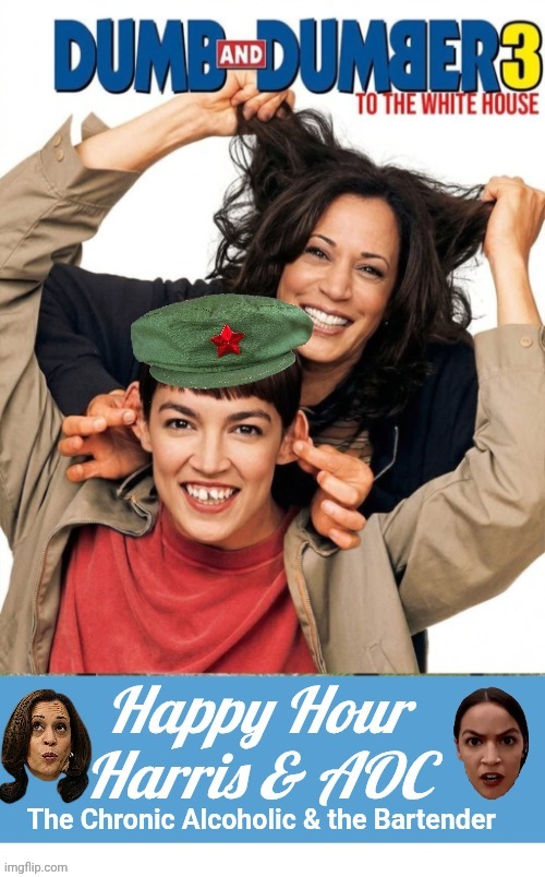 Happy Hour Harris drunk and AOC bartender | image tagged in at4a2r jpg,democrat,dream smp,team | made w/ Imgflip meme maker