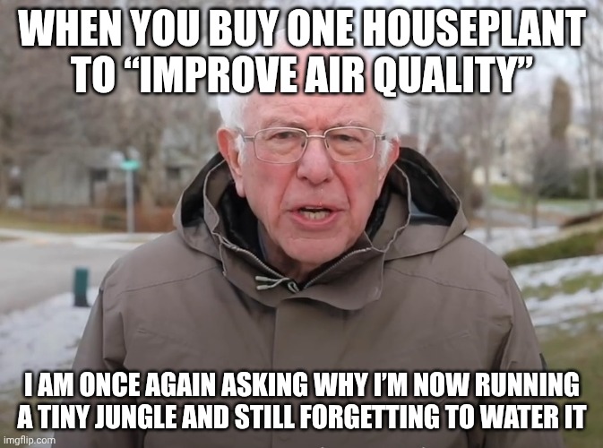 Bernie Sanders Once Again Asking | WHEN YOU BUY ONE HOUSEPLANT TO “IMPROVE AIR QUALITY”; I AM ONCE AGAIN ASKING WHY I’M NOW RUNNING A TINY JUNGLE AND STILL FORGETTING TO WATER IT | image tagged in bernie sanders once again asking | made w/ Imgflip meme maker
