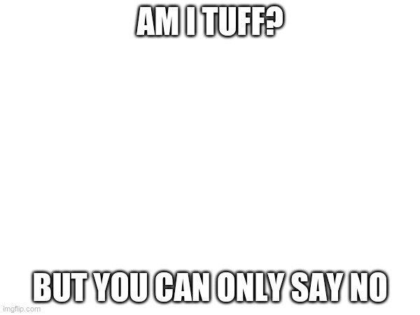 am i? | am i tuff? but you can only say no | image tagged in no | made w/ Imgflip meme maker