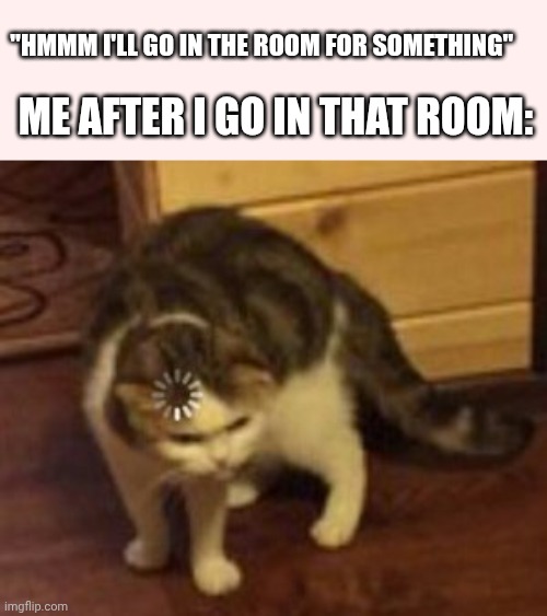 Loading cat | Me after I go in that room:; "Hmmm I'll go in the room for something" | image tagged in loading cat | made w/ Imgflip meme maker