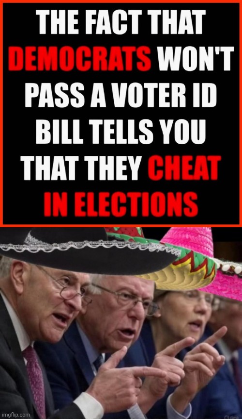Demorhhoids cheat | image tagged in img 35 jpeg,democrats in sombreros 2,vote,fraud | made w/ Imgflip meme maker