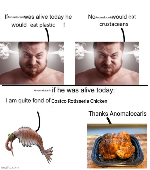 Anomalocaris eating Dinosaur | Thanks Anomalocaris; Costco Rotisserie Chicken | image tagged in anomalocaris if he was alive today,memes,food memes,relatable memes,funny,lol | made w/ Imgflip meme maker