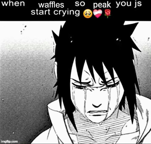 When the x so peak you lowk start crying | waffles | image tagged in when the x so peak you lowk start crying | made w/ Imgflip meme maker