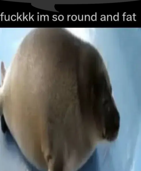 round seal (speech bubble) Blank Meme Template