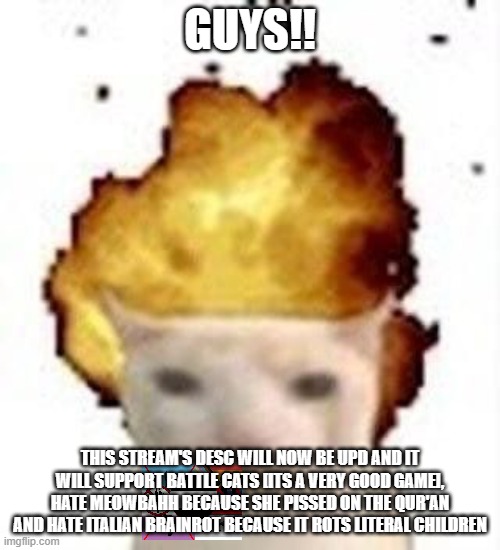 ^^ | guys!! this stream's desc will now be upd and it will support battle cats [its a very good game], hate meowbahh because she pissed on the qur'an and hate italian brainrot because it rots literal children | image tagged in legalize nuclear bombs | made w/ Imgflip meme maker