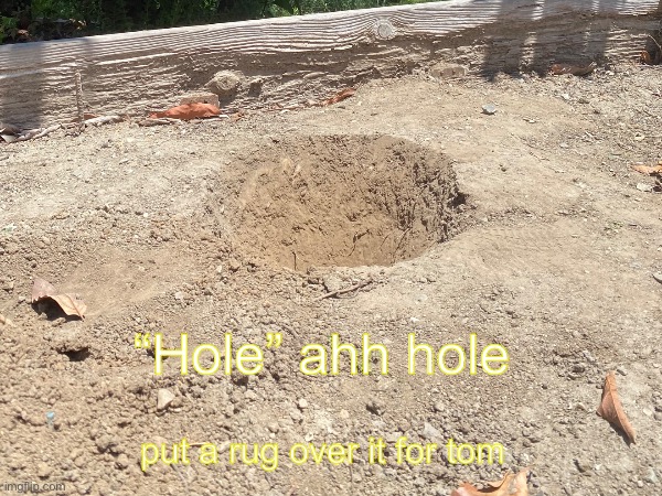 hole | “Hole” ahh hole; put a rug over it for tom | image tagged in memes,meem | made w/ Imgflip meme maker
