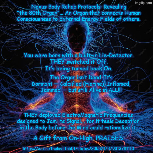 CODE #NEXUSBODY #80thORGAN 73-YEAR-SUPPRESSION REACTIVATION Meme | Nexus Body Rehab Protocols: Revealing "the 80th Organ"... An Organ that connects Human Consciousness to External Energy Fields of others. You were born with a built-in Lie-Detector.
THEY switched it Off.
It’s being turned back On. The Organ isn’t Dead. It’s Dormant — Calcified (Florine), Inflamed, Jammed — but still Alive in ALL!!! THEY deployed ElectroMagnetic Frequencies designed to Jam its Signal... for it feels Deception in the Body before the Mind could rationalize it. A Gift from On-High. PRAISES; https://x.com/thehealthb0t/status/2058217879313781110 | image tagged in code nexusbody 80thorgan 73-year-suppression reactivation jpeg | made w/ Imgflip meme maker