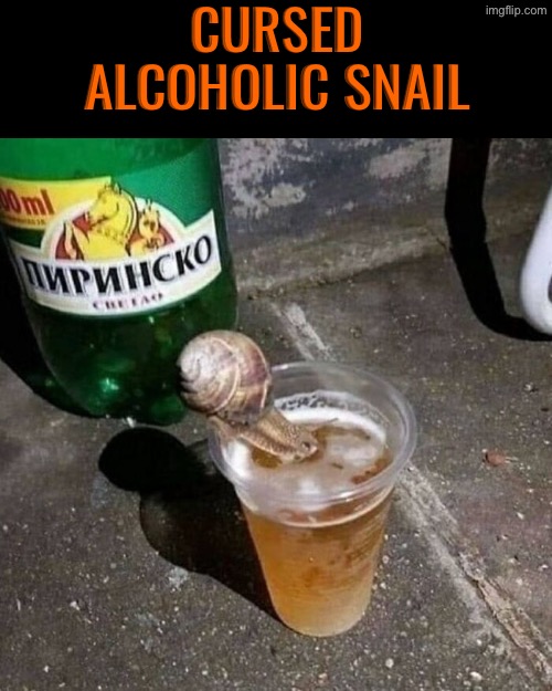 Alcoholic Snail | Cursed alcoholic snail | image tagged in cursed images,snail,alcoholic,drinking,unsee,funny | made w/ Imgflip meme maker