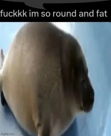 round seal (speech bubble) | image tagged in round seal speech bubble | made w/ Imgflip meme maker