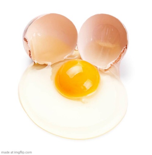 cracked egg | image tagged in cracked egg | made w/ Imgflip meme maker