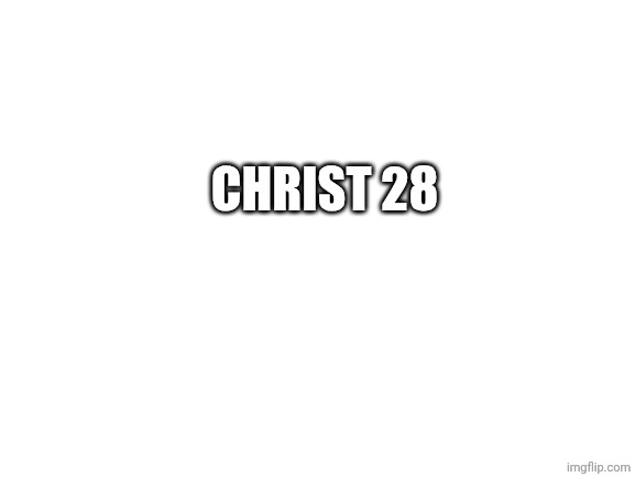 Only person I trust to be president | Christ 28 | image tagged in blank white template | made w/ Imgflip meme maker