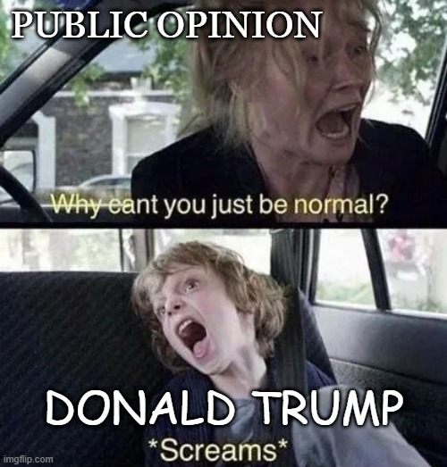 public opinion | public opinion; Donald Trump | made w/ Imgflip meme maker