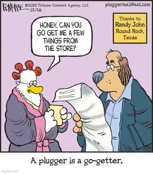 Pluggers | image tagged in comics,pluggers,store,list,husband,go getter | made w/ Imgflip meme maker