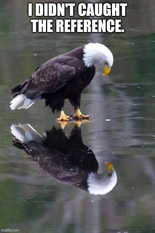 Sad eagle | I didn't caught the reference. | image tagged in sad eagle | made w/ Imgflip meme maker