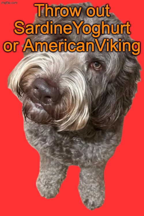 Northers Dog (Transparent) | Throw out SardineYoghurt or AmericanViking | image tagged in northers dog transparent,voting game s19-9 | made w/ Imgflip meme maker
