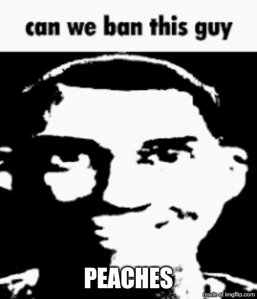 Can we ban this guy | Peaches | image tagged in can we ban this guy | made w/ Imgflip meme maker