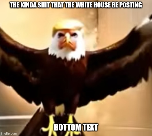 I found this in Sigeon Pex videos btw...... | The kinda shit that the white house be posting; Bottom Text | image tagged in donald trump,the white house,sigeon pex,sigeon,sigeonpex,truth social | made w/ Imgflip meme maker