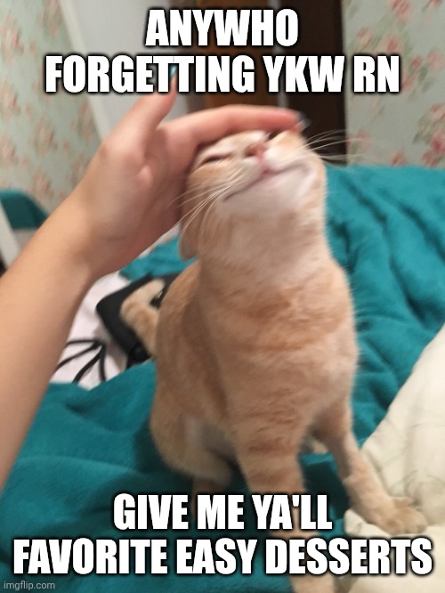 My mobile home park is having a yard sale soon, and I'm rasing funds for my cousins med bills, so I'm selling sweets | Anywho forgetting ykw rn; Give me ya'll favorite easy desserts | image tagged in cat pat,remix | made w/ Imgflip meme maker