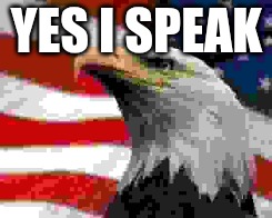 yes i speak | image tagged in murica patriotic eagle | made w/ Imgflip meme maker