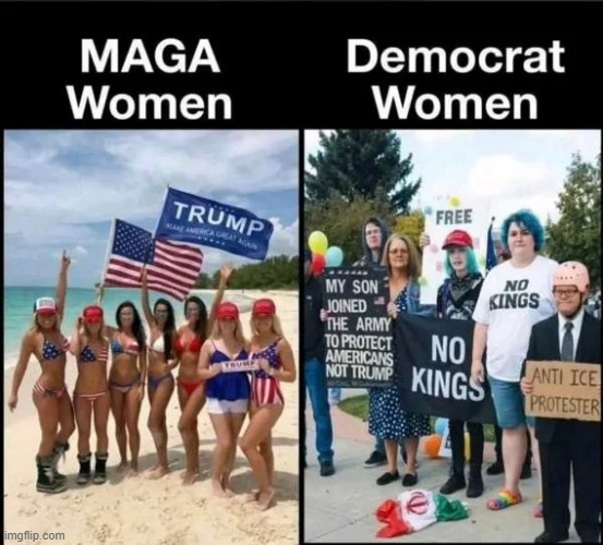 Choices | image tagged in republicans,women,and now for something completely different,democrats,sjws,triggered | made w/ Imgflip meme maker