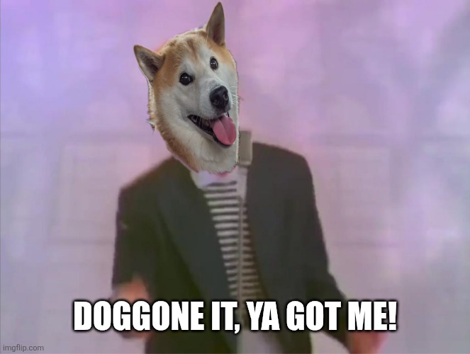 Doggone it, ya got me! | made w/ Imgflip meme maker