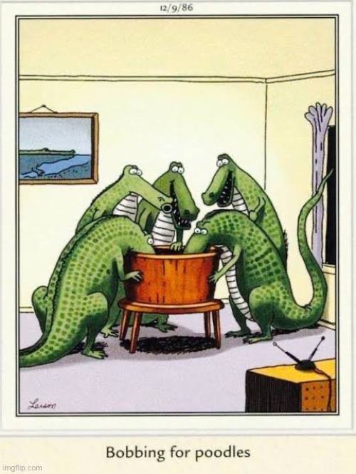One of their favorite pastimes | image tagged in the far side,comics,alligators,bucket,bobbing,poodles | made w/ Imgflip meme maker