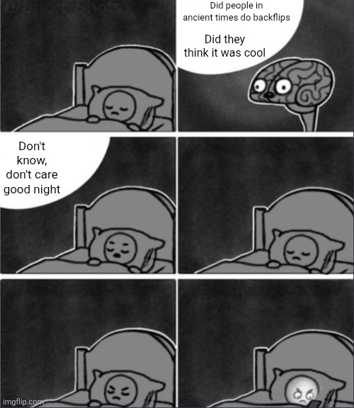 Good question right right | Did people in ancient times do backflips; Did they think it was cool; Don't know, don't care good night | image tagged in brain sleep phone,backflip,flips,parkour,shower thoughts,sleep | made w/ Imgflip meme maker