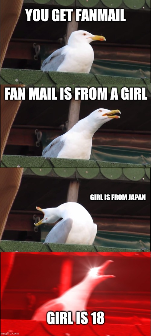 Inhaling Seagull Meme | You get fanmail; Fan mail is from a girl; Girl is from japan; Girl is 18 | image tagged in memes,inhaling seagull | made w/ Imgflip meme maker