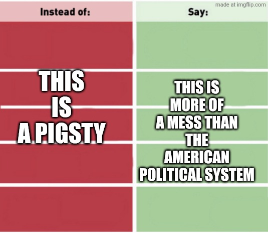 My mum pulled this one on me and I nearly s*** myself laughing | This is more of a mess than the American political system; This is a pigsty | image tagged in instead of say | made w/ Imgflip meme maker
