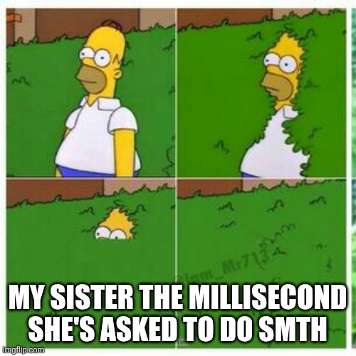 "I didn't hear you" | My sister the millisecond she's asked to do smth | image tagged in homer hides | made w/ Imgflip meme maker