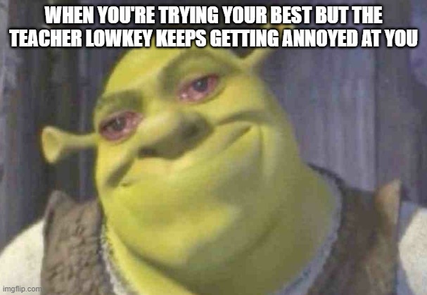 TRYING MY BEST HERE | when you're trying your best but the teacher lowkey keeps getting annoyed at you | image tagged in crying shrek | made w/ Imgflip meme maker