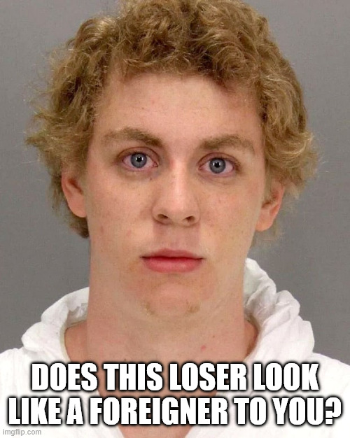 Brock Turner | Does this loser look like a foreigner to you? | image tagged in brock turner | made w/ Imgflip meme maker