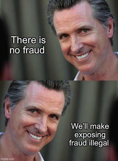 Progressive logic | There is no fraud; We’ll make exposing fraud illegal | image tagged in gavin newsom,politics lol,memes | made w/ Imgflip meme maker